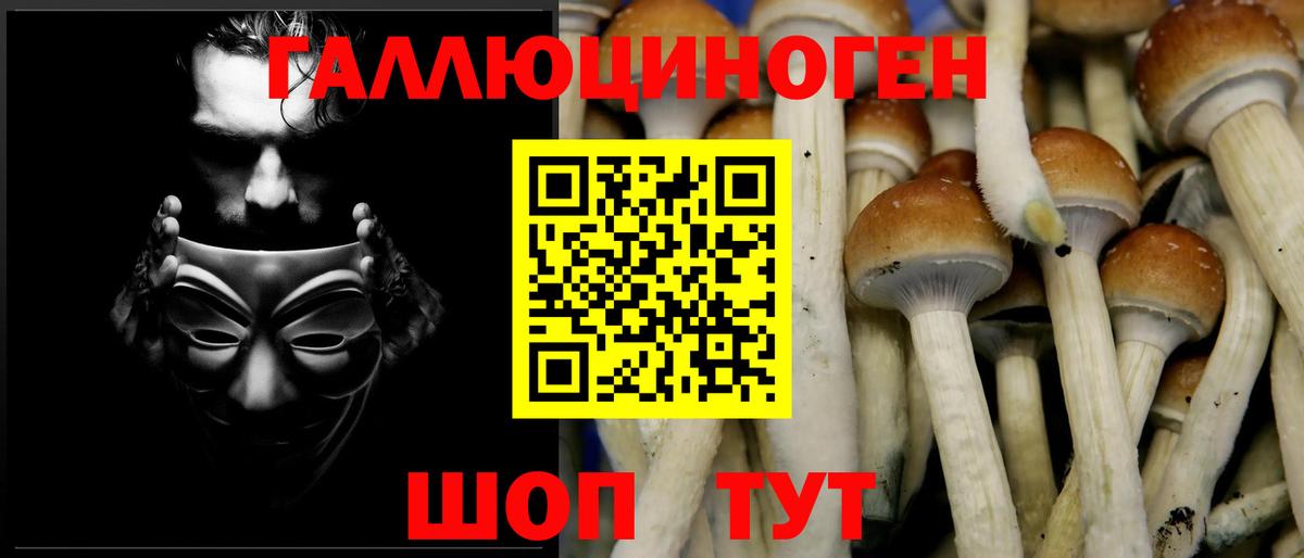 Ивантеевка  Псилоцибиновые грибы Psilocybine cubensis  Псилоцибиновые грибы мухоморы  Вход с VPN 